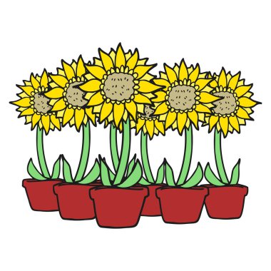 serbest çizilmiş karikatür ayçiçeği