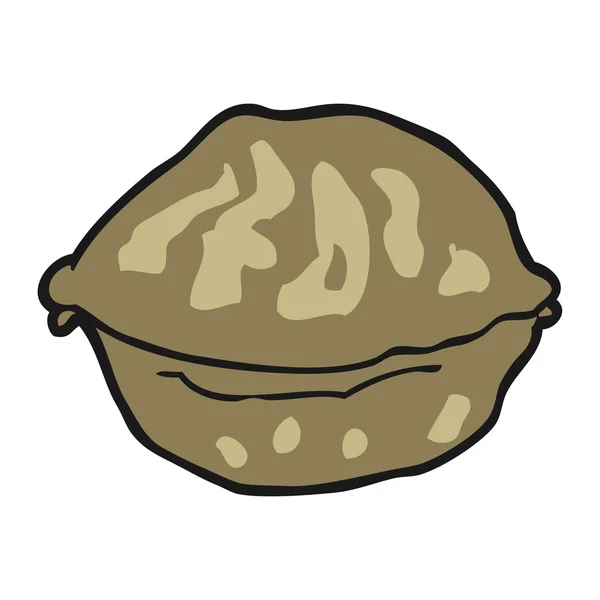 Cartoon walnut in shell — Stock Vector