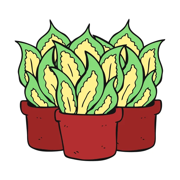 Cartoon-Zimmerpflanzen — Stockvektor