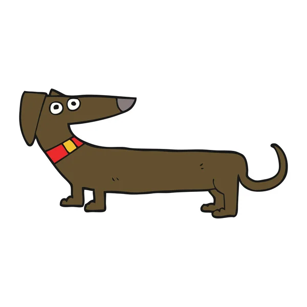 Cartoon sausage dog — Stock Vector