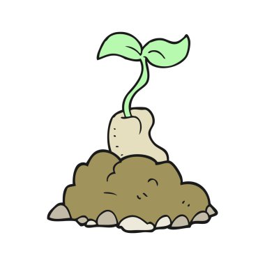 tohum çimlenme çizgi film