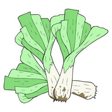 serbest çizilmiş karikatür pırasa