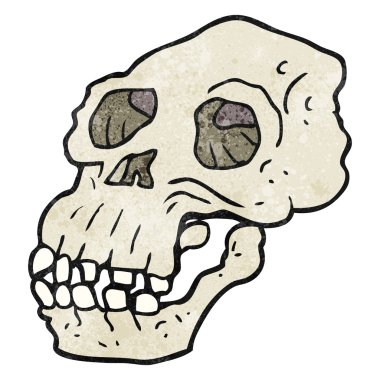 dokulu çizgi film Antik kafatası