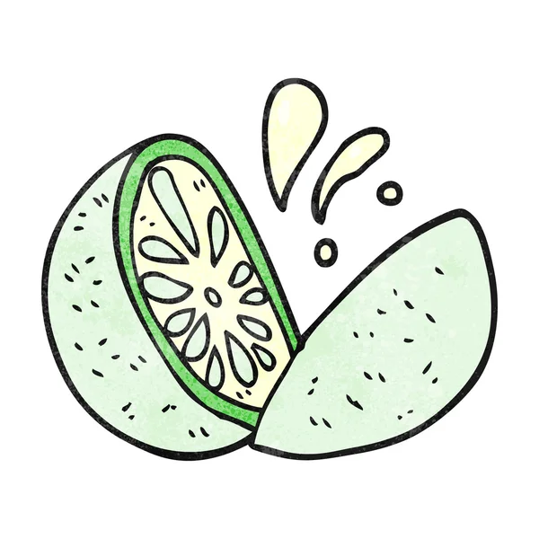 Melón de dibujos animados texturizado — Archivo Imágenes Vectoriales