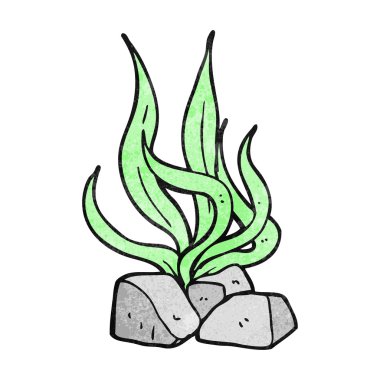 dokulu karikatür deniz yosunu