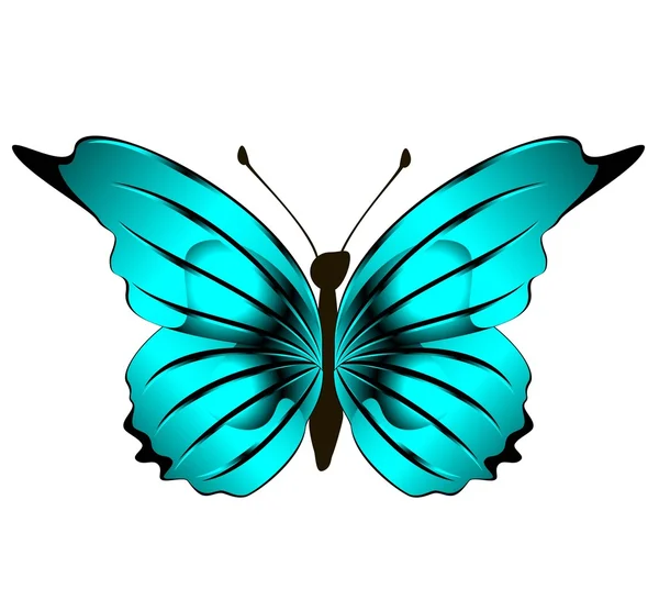 Blå sommerfugl - Stock-foto