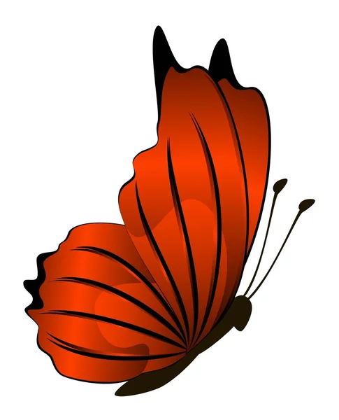 Orange butterfly — Stock Photo, Image