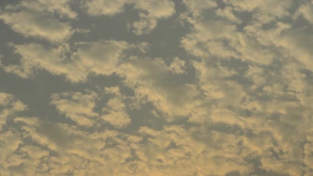 Zwevende Wolken Die Dramatische Hemel Bedekken Zomer Zonsondergang Avond Cloudscape — Stockvideo