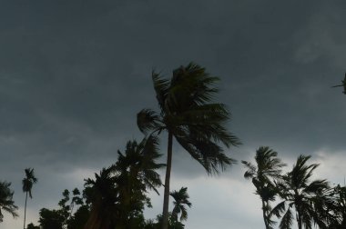 Norveçlilerin (Kalbaishakhi veya Bordoisila) fırtınalı atmosferinin manzarası. Yağmur ve fırtına başlamadan önce hızlı rüzgar ve sağanak yağmurla gün batımı gökyüzünü kaplayan koyu siyah fırtına bulutları..