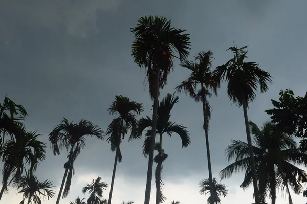 Paisaje Vista Noroeste Kalbaishakhi Bordoisila Ambiente Tormentoso Nubes Oscuras Tormenta — Foto de Stock