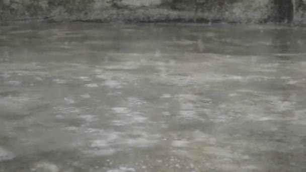 Monsunregn Som Faller Takflaten Boligbygning Torrential Rain Raindrops Water Summer – stockvideo
