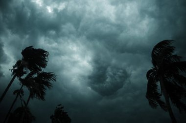 Koyu siyah fırtına bulutları yaz günbatımı gökyüzü ufkunu kapladı. Norveçliler Kalbaishakhi Bordoisila 'dan önce Hindistan cevizi palmiye ağacının üzerinden esen kuvvetli fırtına sağanak yağmuru.