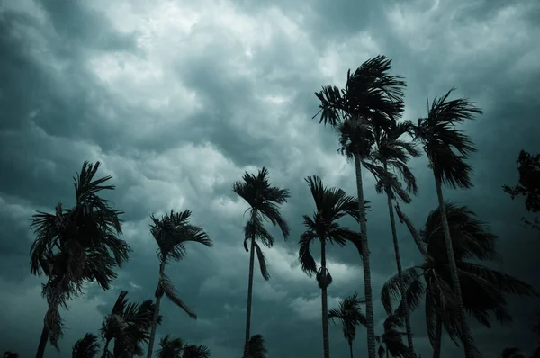 Thick Dark Black Heavy Storm Clouds Covered Summer Sunset Sky — Stock Photo, Image