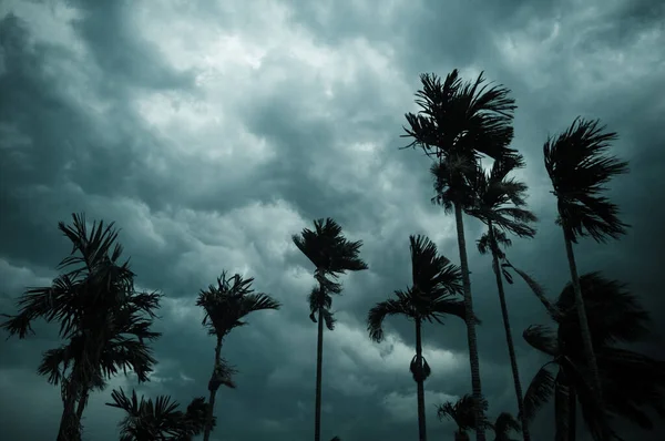Dikke Donkere Zwarte Zware Storm Wolken Bedekt Zomer Zonsondergang Hemel — Stockfoto