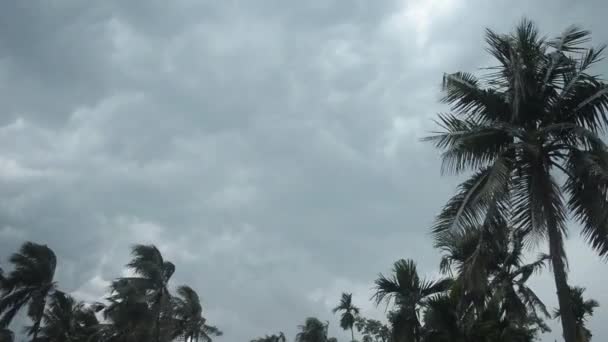 Tjock Mörk Svart Tung Storm Moln Täcker Sommar Solnedgång Himmel — Stockvideo