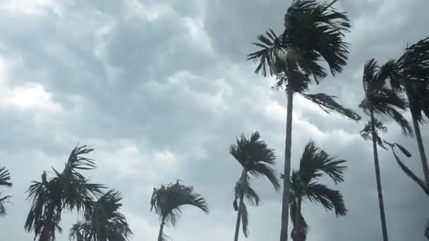 Gruesas Nubes Negras Oscuras Pesadas Cubren Horizonte Del Cielo Atardecer — Vídeos de Stock