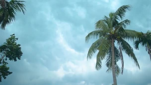 Dikke Donkere Zwarte Zware Storm Wolken Bedekken Zomer Zonsondergang Hemel — Stockvideo