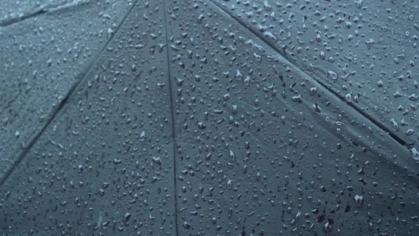 雨滴落在黑色雨伞上 特写镜头 落雨落在阳伞上 抽象纹理模式 雨季自然背景图片 有选择的重点 地面的浅水区 复制空间 — 图库视频影像