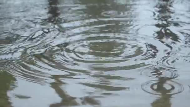 Pluie Tombe Sur Surface Eau Gros Plan Éclaboussures Mousson Gouttes — Video