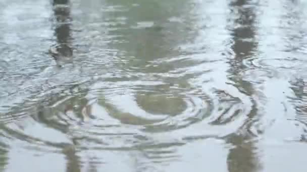 雨は水面に落ちる 閉鎖だ モンスーン池の水に雨が降ります 美しい雨季の背景 スローモーションのストック映像 効果音 要旨自然界の食感パターン — ストック動画