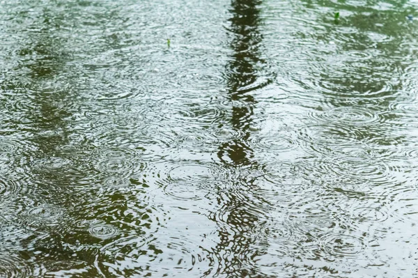 Des Gouttes Pluie Tombent Sur Eau Gouttes Pluie Sur Surface — Photo