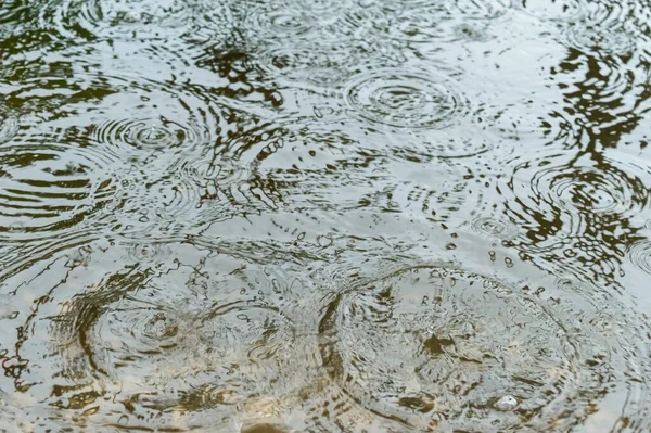 Raindrops Falling Water Rain Drops Water Surface Abstract Texture Pattern — Stock Photo, Image