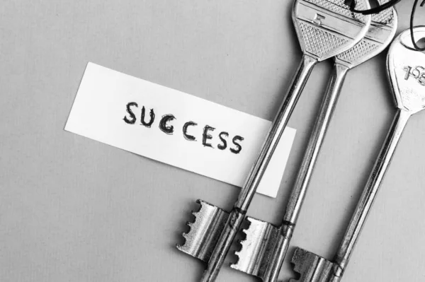 Key to success. Keys to Success in Business. A conceptual background image. Still Life