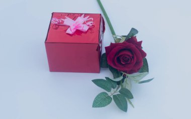 Kurdeleli bir hediye kutusu ve beyaz arka planda kırmızı bir gül. Düşük açı. Boşluğu Kopyala.