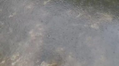 Muson yağmurları çatıya yağıyor. Şiddetli yaz yağmuru mevsimi. Doğa geçmişi. Düşük açı görünümü. Tam Çerçeve. Stock Görüntüsü.