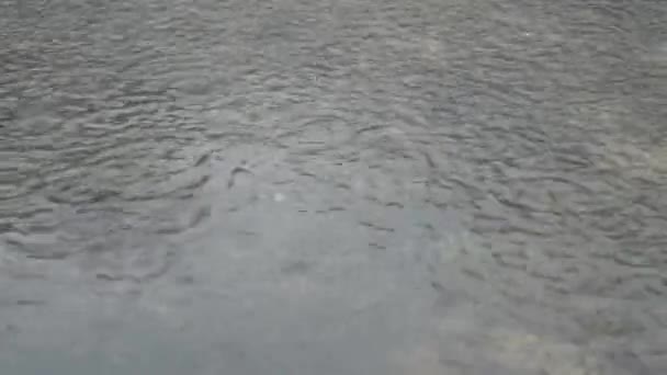 Pioggia Monsonica Che Cade Sul Pavimento Cemento Edificio Torrenziale Stagione — Video Stock