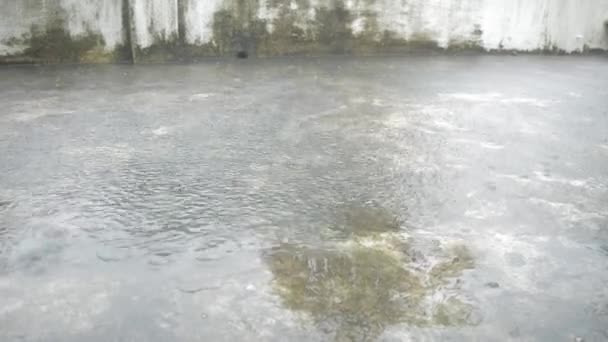Monsunowy Deszcz Padający Cementową Podłogę Pora Deszczowa Lato Środowisko Naturalne — Wideo stockowe