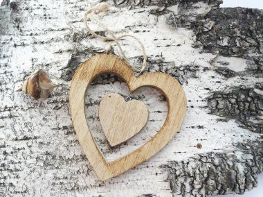 Doğal bir huş ağacının arka planında oyulmuş bir kalp. 