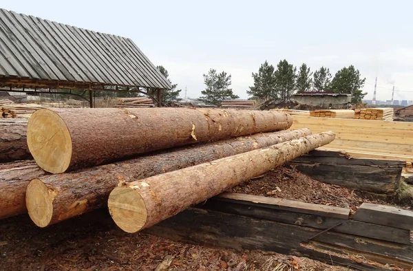 Mäntytukit valmistetaan sahan leikkaamiseen — kuvapankkivalokuva