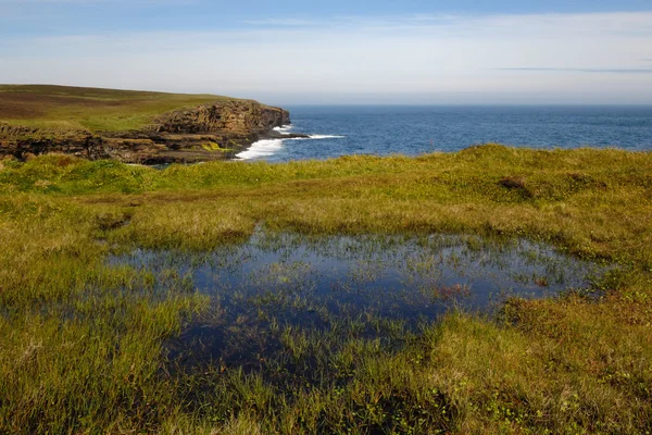 Kafa, Orkney Adaları, İngiltere'de derin düşünmek — Stok fotoğraf