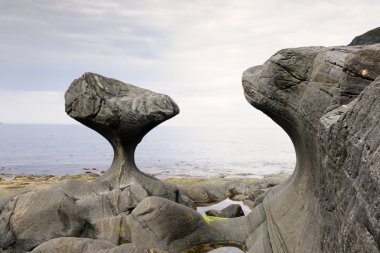Kannensteinen kaya oluşumu Norveç'te