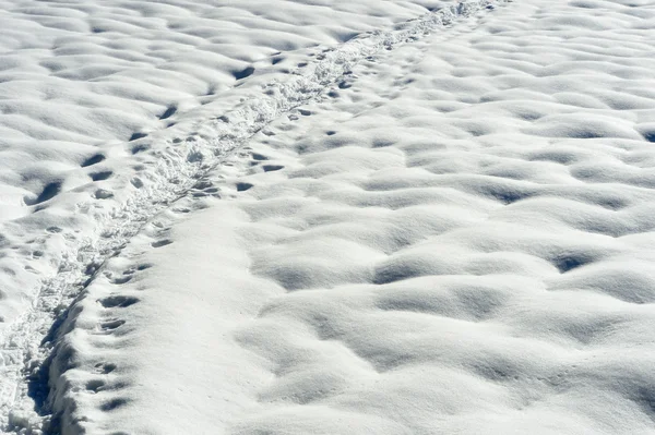 Snow shoe trail in sneeuw. — Stockfoto