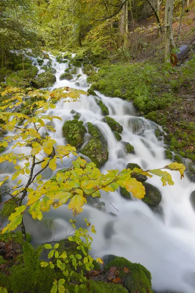 Fluxo de montanha com folhas de outono — Fotografia de Stock