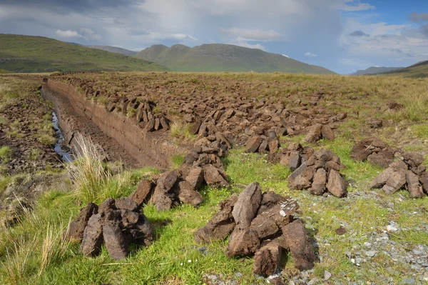 Geleneksel çim sanayi