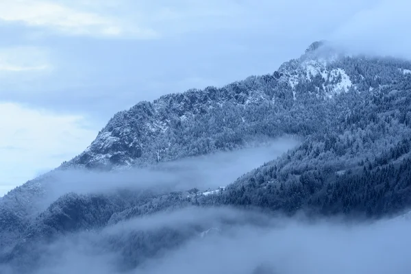 Bergdal in de winter — Stockfoto