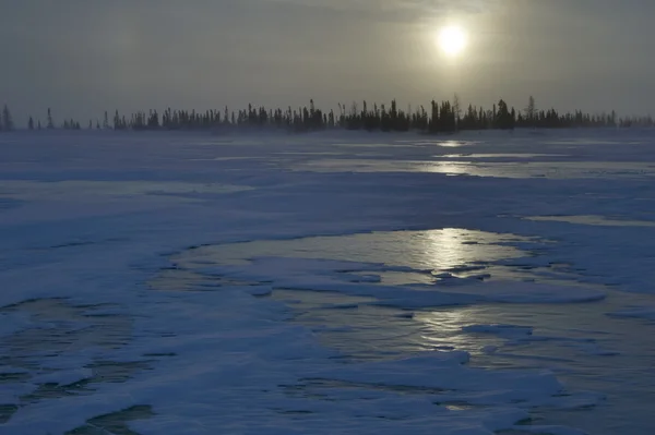 Boreal frozen lake. — Stock Photo, Image