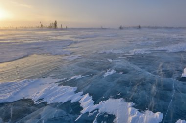 Frozen lake with boreal forest (taiga) and tundra clipart