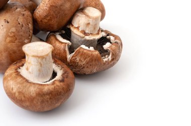 Beyaz arka planda izole edilmiş taze şampiyon mantarları. Fotokopi alanı olan kahverengi ıslak mantarlar. Bir sürü çiğ mantar. Doğal beslenme ürünleri.