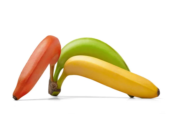 Banan Izolowany Białym Tle Dojrzałe Żółte Czerwone Zielone Banany Banda — Zdjęcie stockowe
