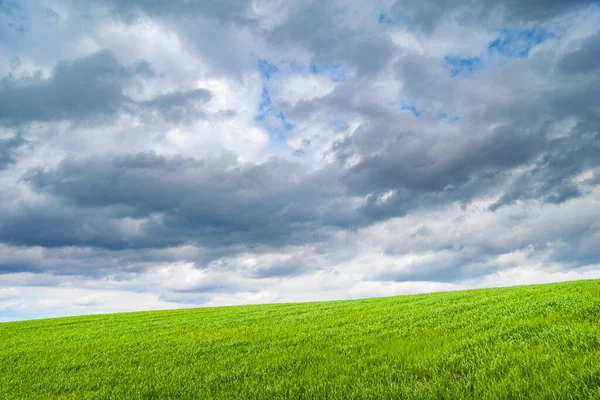 Gromy Nad Zielonym Wzgórzem Ciemne Zachmurzone Niebo Nad Młodą Zieloną — Zdjęcie stockowe