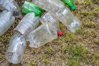 Plastik şişeler. Çimlerin üzerinde kesilmiş kirli plastik şişeler kullanılmış. Çevre kirliliği kavramı. Ekolojik bir sorun. Plastik atıkların geri dönüşümü. Seçici yumuşak odak.