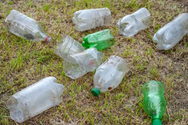 Plastik şişeler. Kullanılmış bir yığın kirli plastik şişe çimlerin üzerinde yatıyor. Çevre kirliliği kavramı. Ekolojik bir sorun. Plastik atıkların geri dönüşümü. Seçici yumuşak odak.