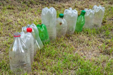 Plastik şişeler. Kuru çimenlerdeki eski, kirli plastik şişeleri kesiyor. Çevre kirliliği kavramı. Ekolojik bir sorun. Plastik atıkların geri dönüşümü. Seçici yumuşak odak.