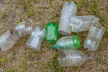 Plastik şişeler. Kirli plastik şişeleri kesmek için kullanılır. Çimlerin üzerinde yatar, yukarıdan görülür. Çevre kirliliği kavramı. Ekolojik bir sorun. Plastik atıkların geri dönüşümü. Seçici yumuşak odak.