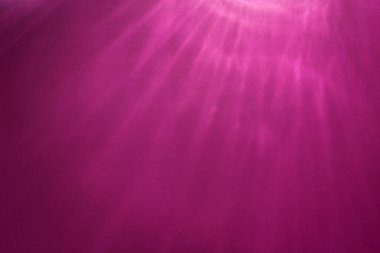 Kağıt soyutlaması. Mor karton üzerinde ışık ve gölge oyunu. Renkli karton. Soyut arkaplan