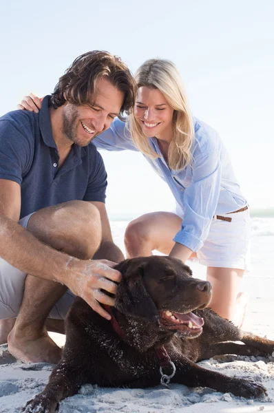 Casal com animal de estimação na areia — Fotografia de Stock